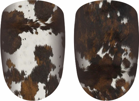 Cattle Drive Clip